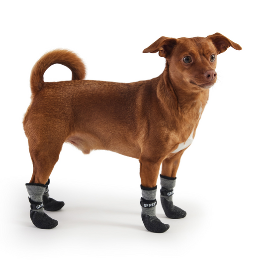 All Terrain Dog Boots - Charcoal | GF Pet