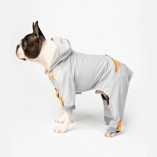 Sammy - Splash Suit | Silver Paw