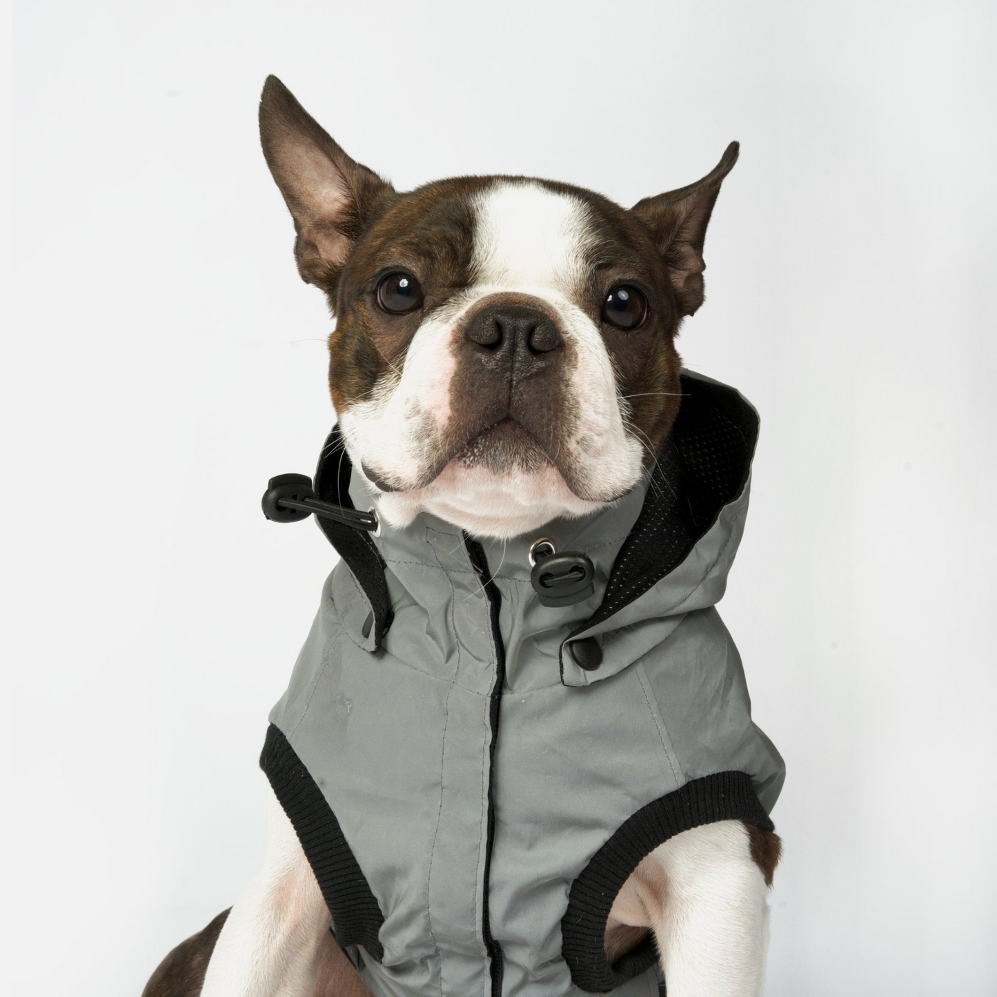 Max - Reflective Raincoat