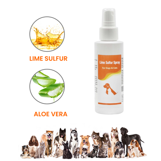 Healthy Paw Life - Spray de azufre y lima - Cuidado de mascotas para piel seca y con picazón - Cuidado localizado y solución segura para perros, gatos, cachorros, gatitos y caballos