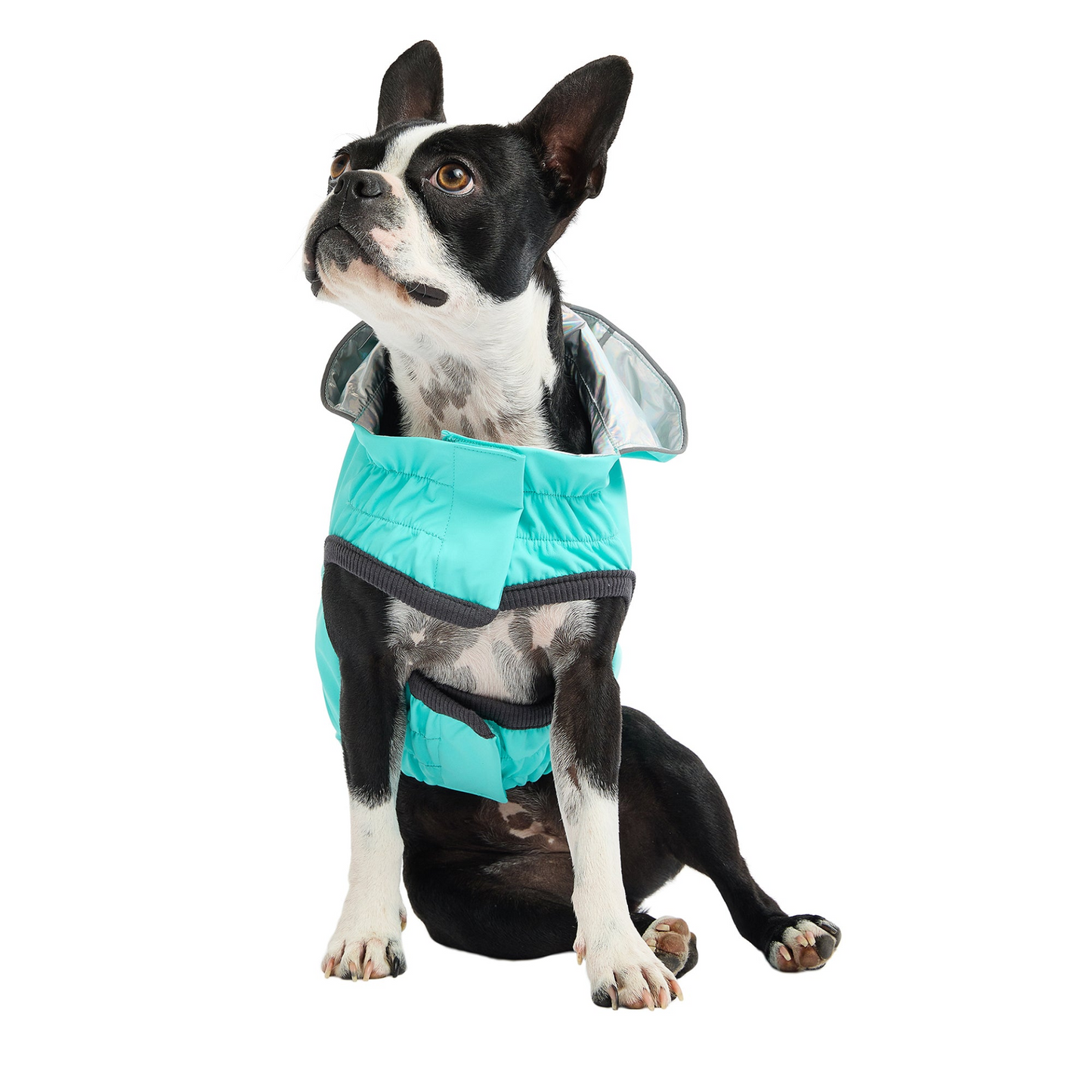 Reversible Dog Raincoat - Neon Aqua with Iridescent