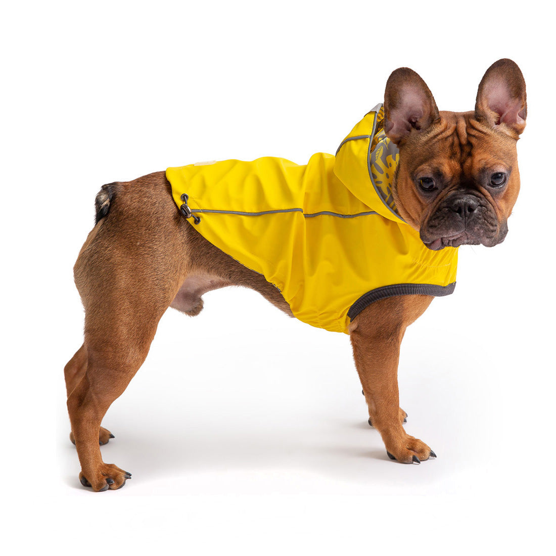 Chubasquero reversible GF Pet Elasto-Fit - Amarillo