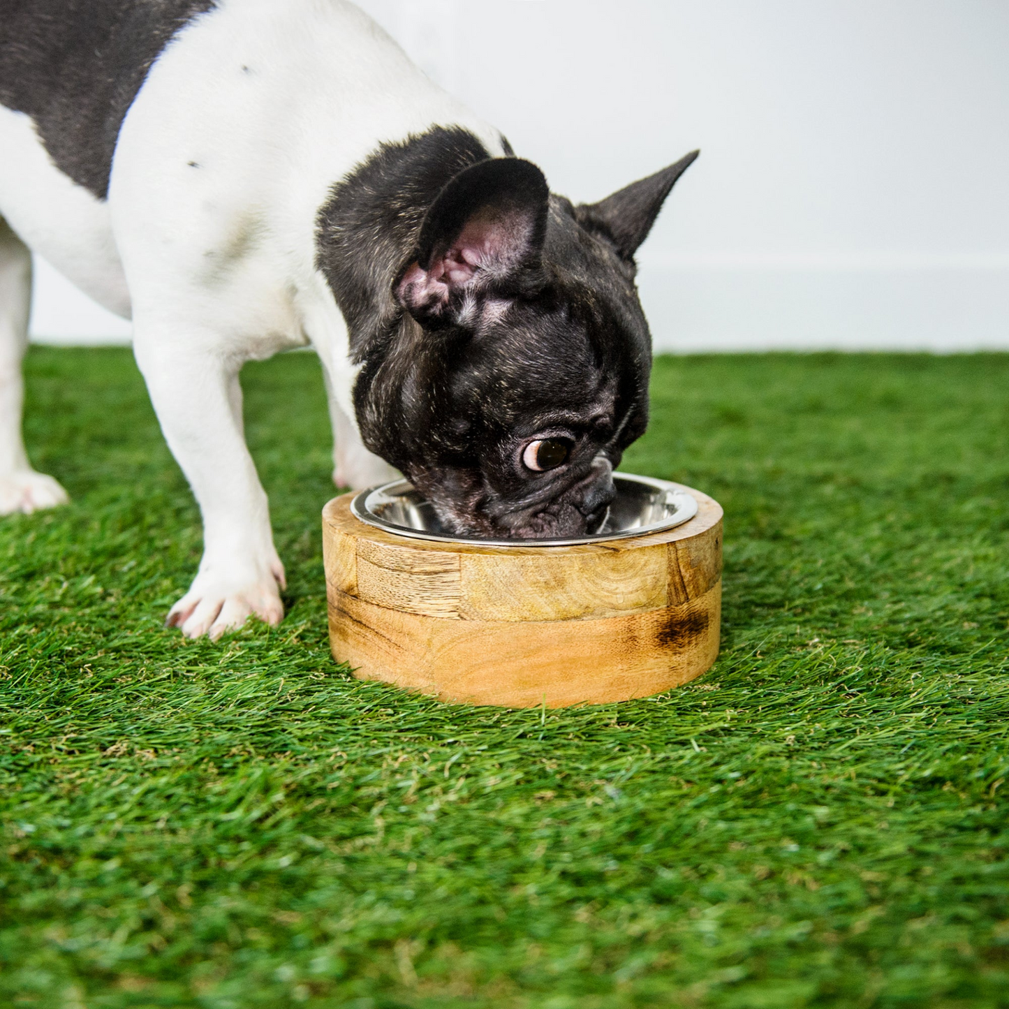 GF Pet Mango Wood Bowl Single