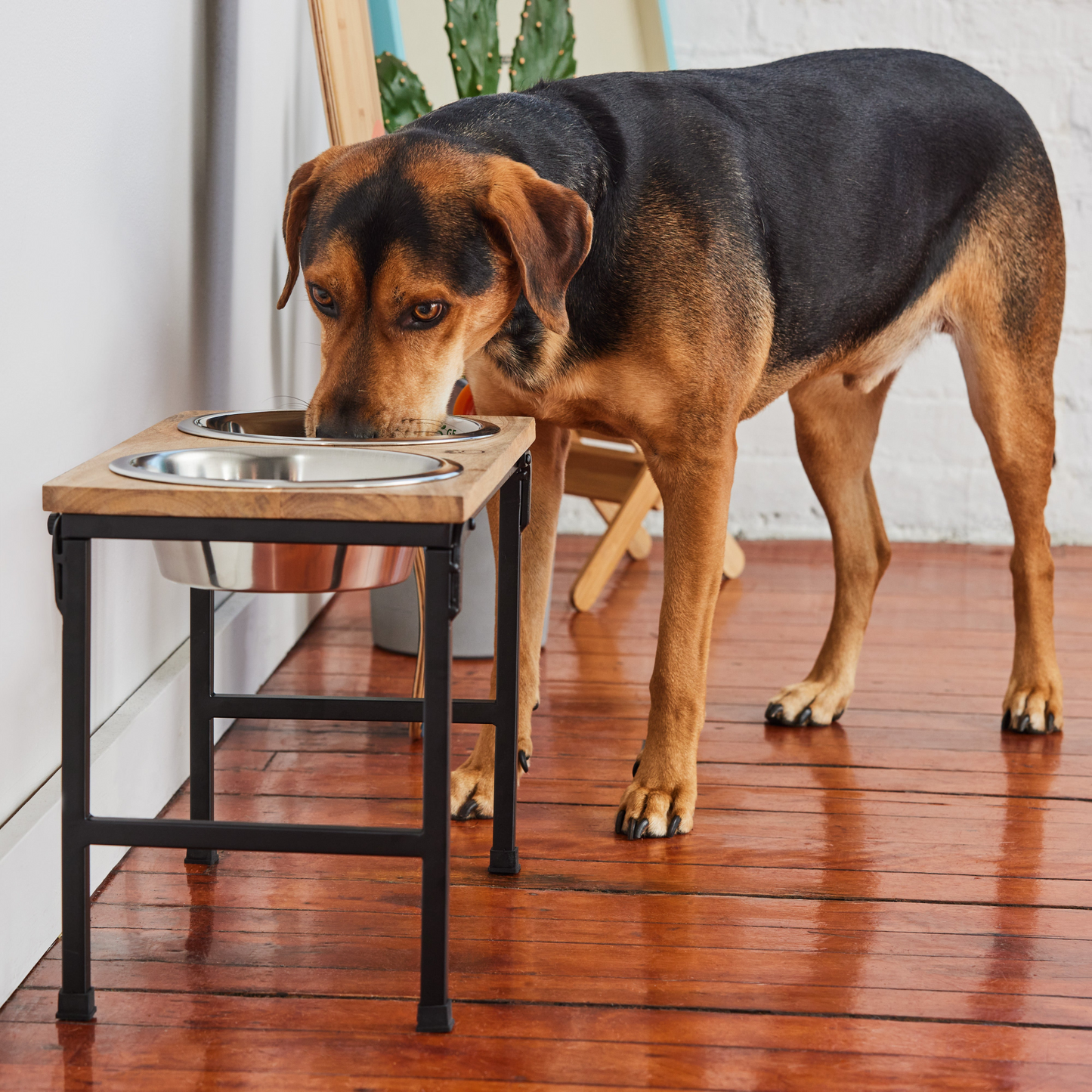 Wood & Metal Elevated Dog Feeder