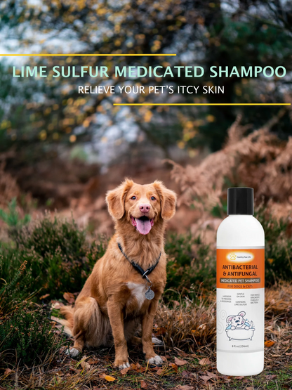 Healthy Paw Life Lime Sulfur Pet Shampoo - Antifungal & Antibacterial Medicated Formula