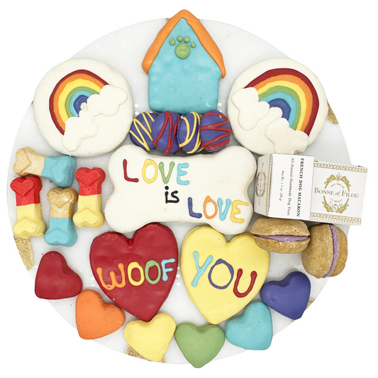 Pride Themed Dog Treats Gift Box