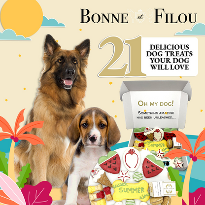 Summer Themed Dog Treats Gift Box