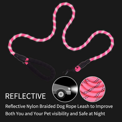 5 FT Thick Highly Reflective Dog Leash-Pink