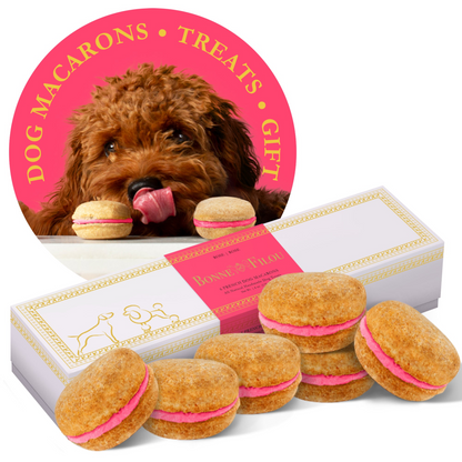 Bonne et Filou Dog Macarons (Box of 6)