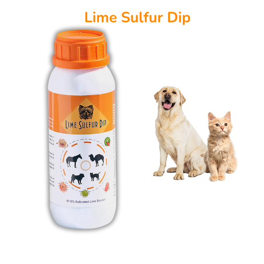 Complete Skin Health Solution for Pets: Lime Sulfur Dip & Antiparasitic Shampoo Combo