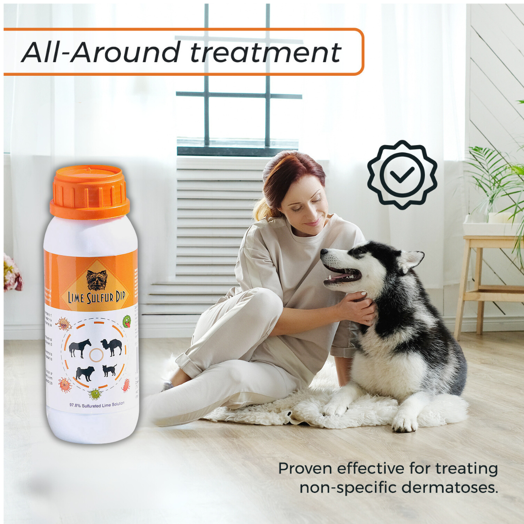 Complete Skin Health Solution for Pets: Lime Sulfur Dip & Antiparasitic Shampoo Combo