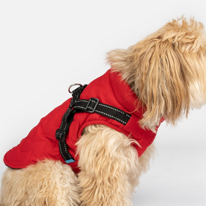 Quilted Dog Jacket With Built-In Harness - Red | All-Weather, Adjustable, Easy On and Off