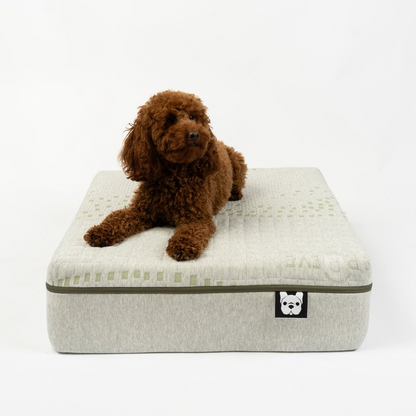 EKO EcoPur Restorative Mattress for Dogs | Sustainable Luxury and Comfort