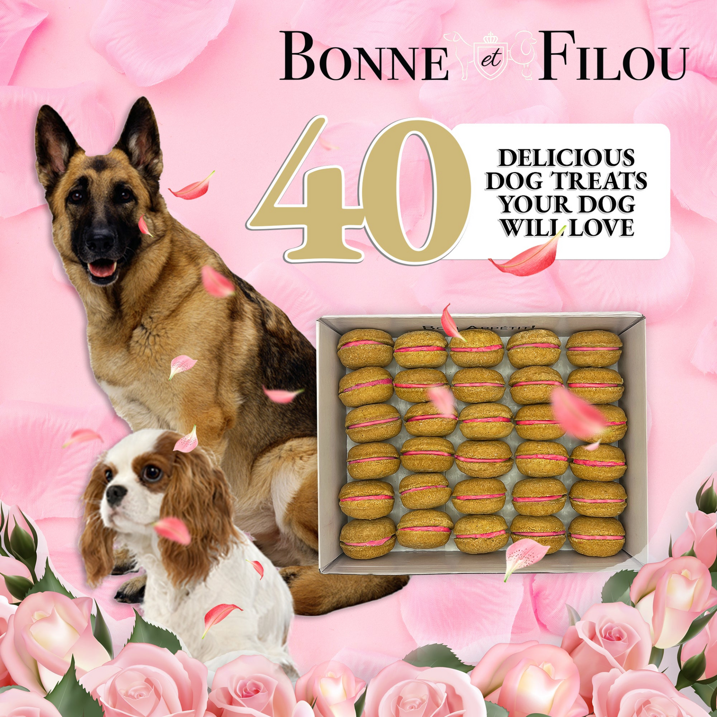 Bonne et Filou Caja de regalo de golosinas macarrones para perros de 40 unidades