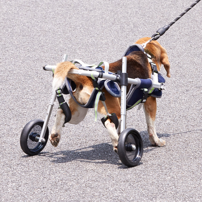 VEVOR Small Dog Wheelchair, 2-Wheel, Adjustable, Lightweight for Back Legs