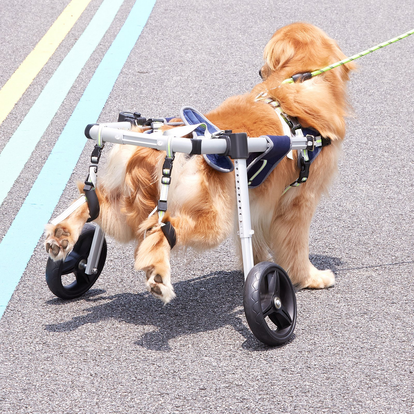 VEVOR Medium Dog Wheelchair, 2-Wheel, Adjustable, Lightweight for Back Legs