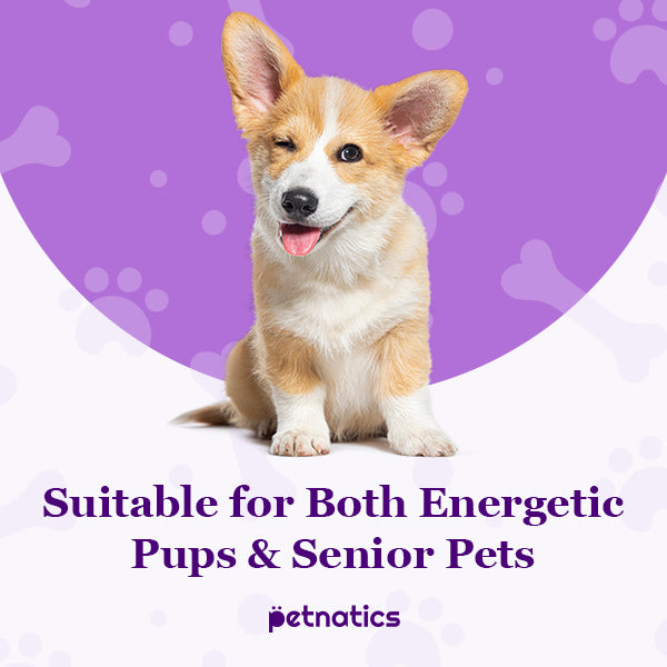 Petnatics Paw Balm Reduced Slip