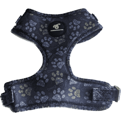 Finnigan's Paws Up Harness - Stylish and Comfortable Pet Harness