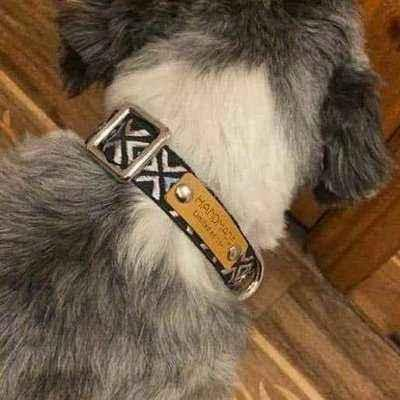 Durable Designer Dog Collar No.01m