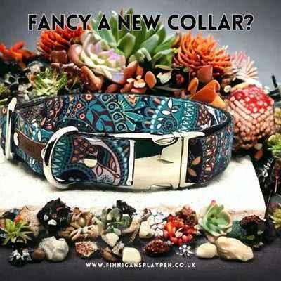 Durable Designer Dog Collar No. 5l