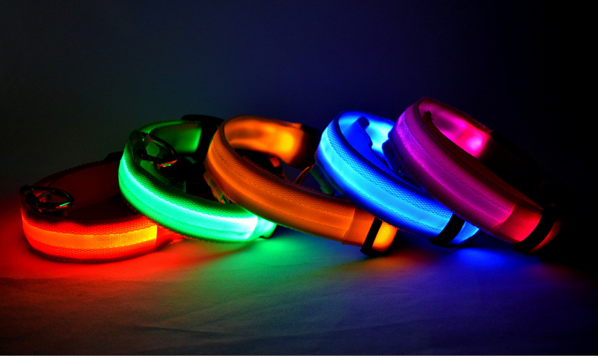 Nylon LED Pet Dog Luminous Collar: Night Safety Flashing Glow in Dark Dog Cat Leash