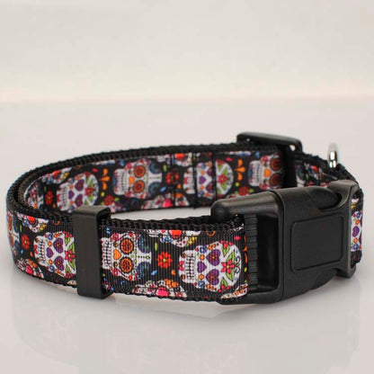 Multi-Colored Dog Seat Belt Tether/Collar/Leash