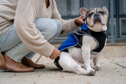 2-in-1 Thermal Dog Fleece Jacket with Integrated Harness - Royal Blue | Keep Your Dog Warm and Stylish