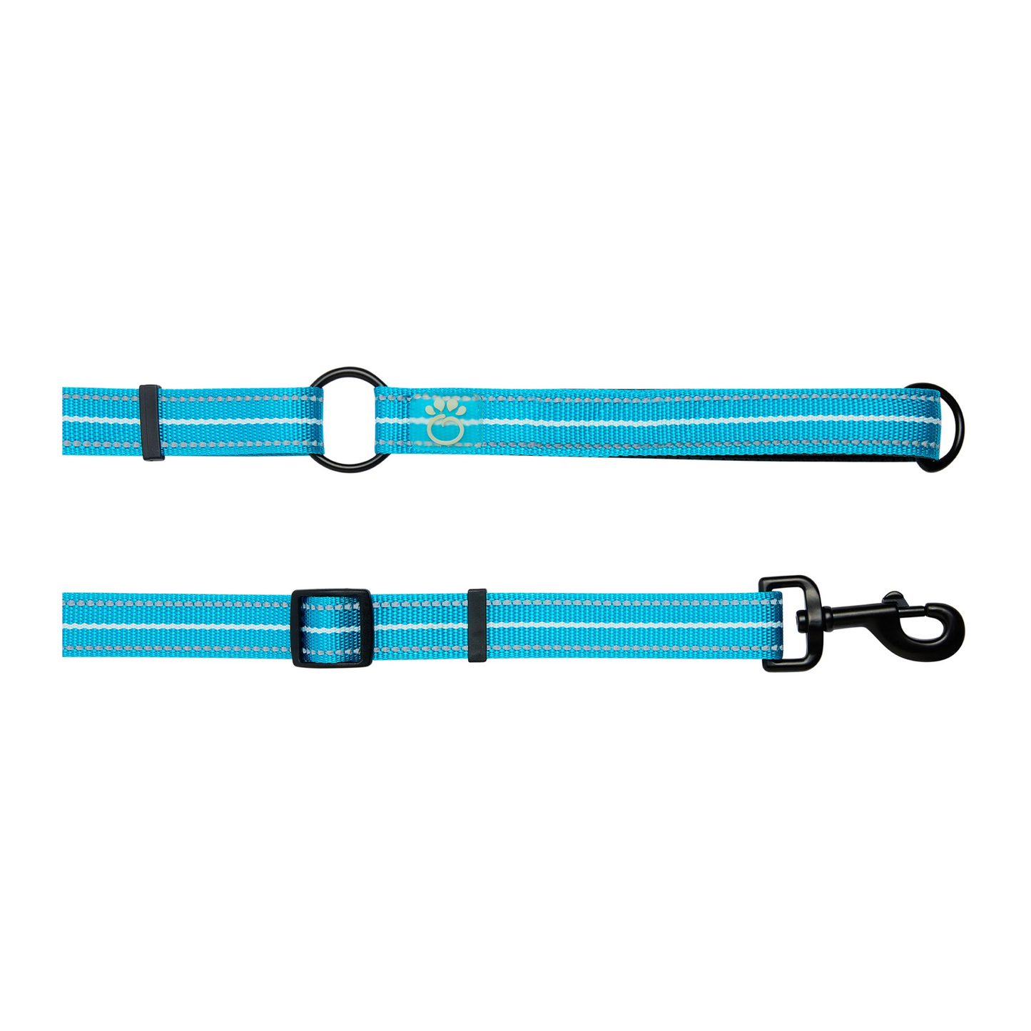 Reflective Dog Leash - Neon Blue