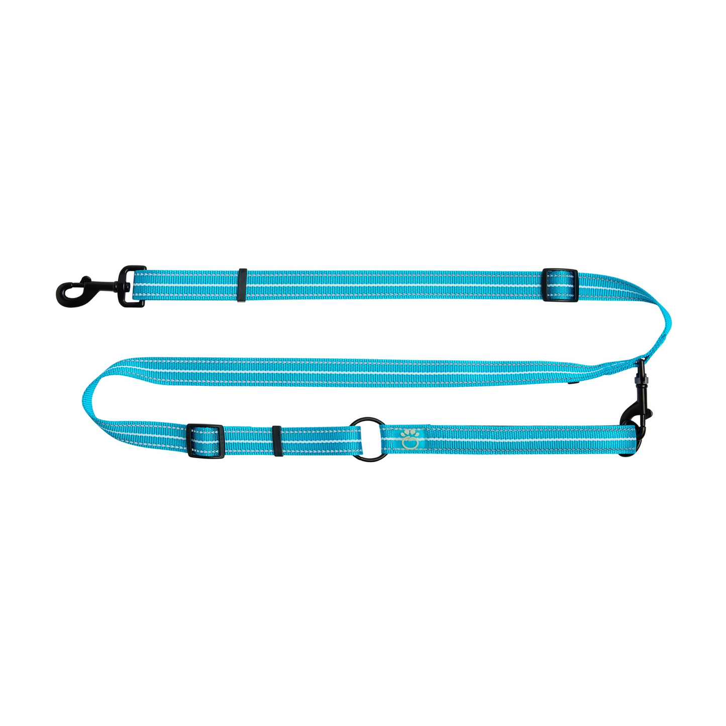 Reflective Dog Leash - Neon Blue