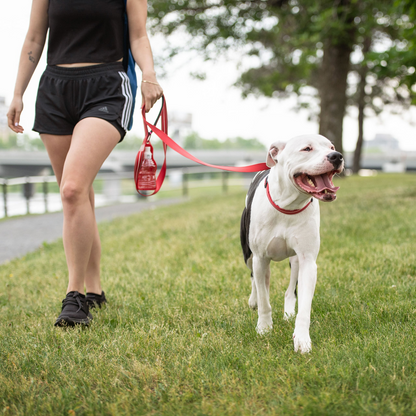 Reflective Dog Leash - Red