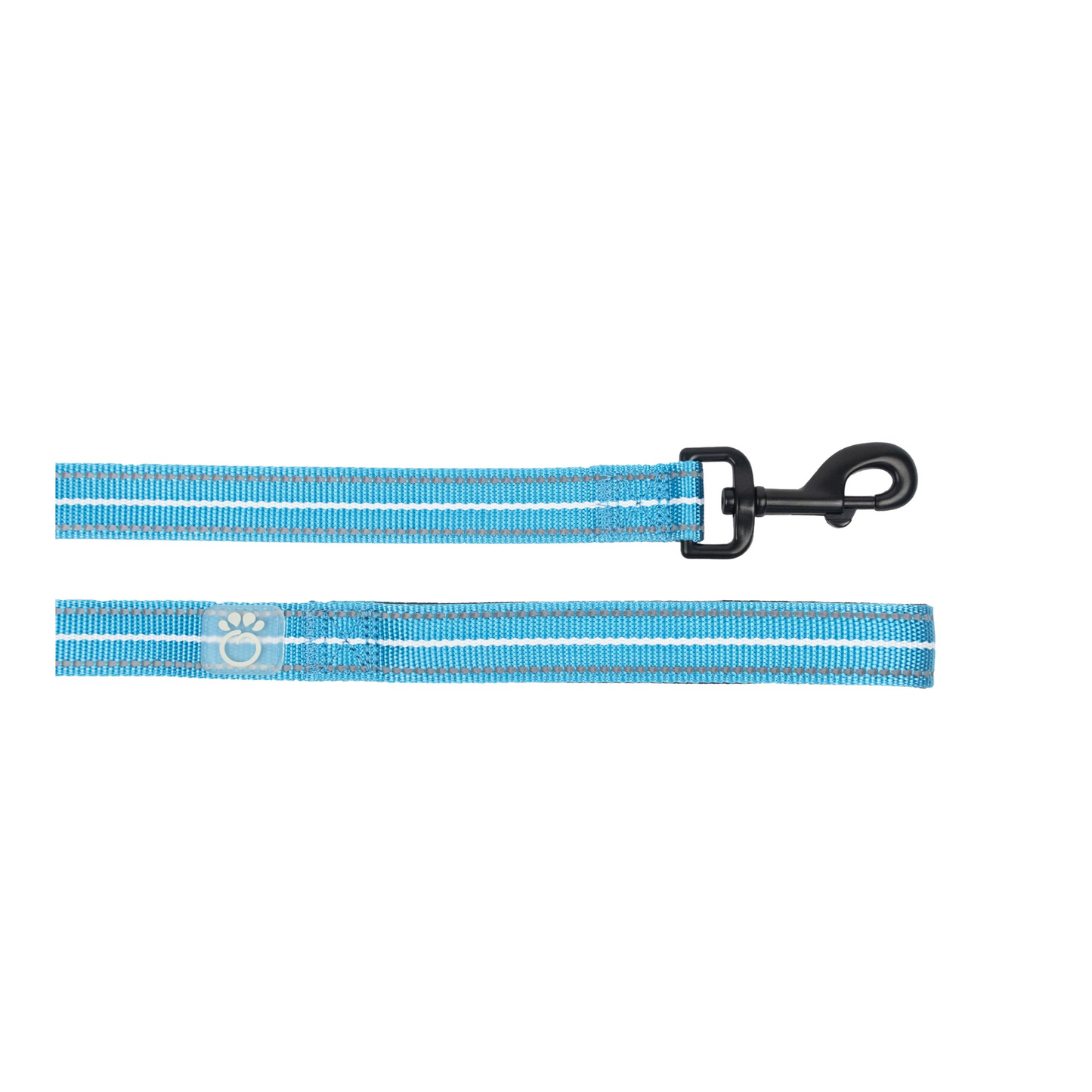 Reflective Dog Leash - Neon Blue