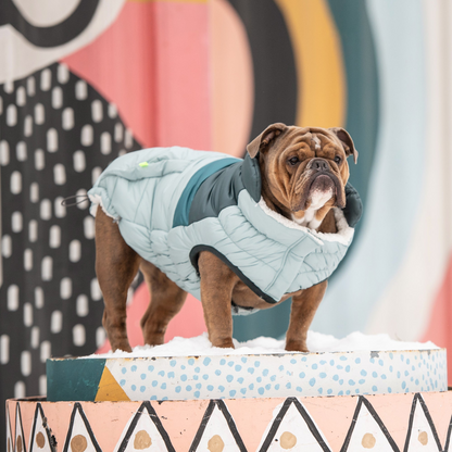 Retro Dog Puffer - Light Blue