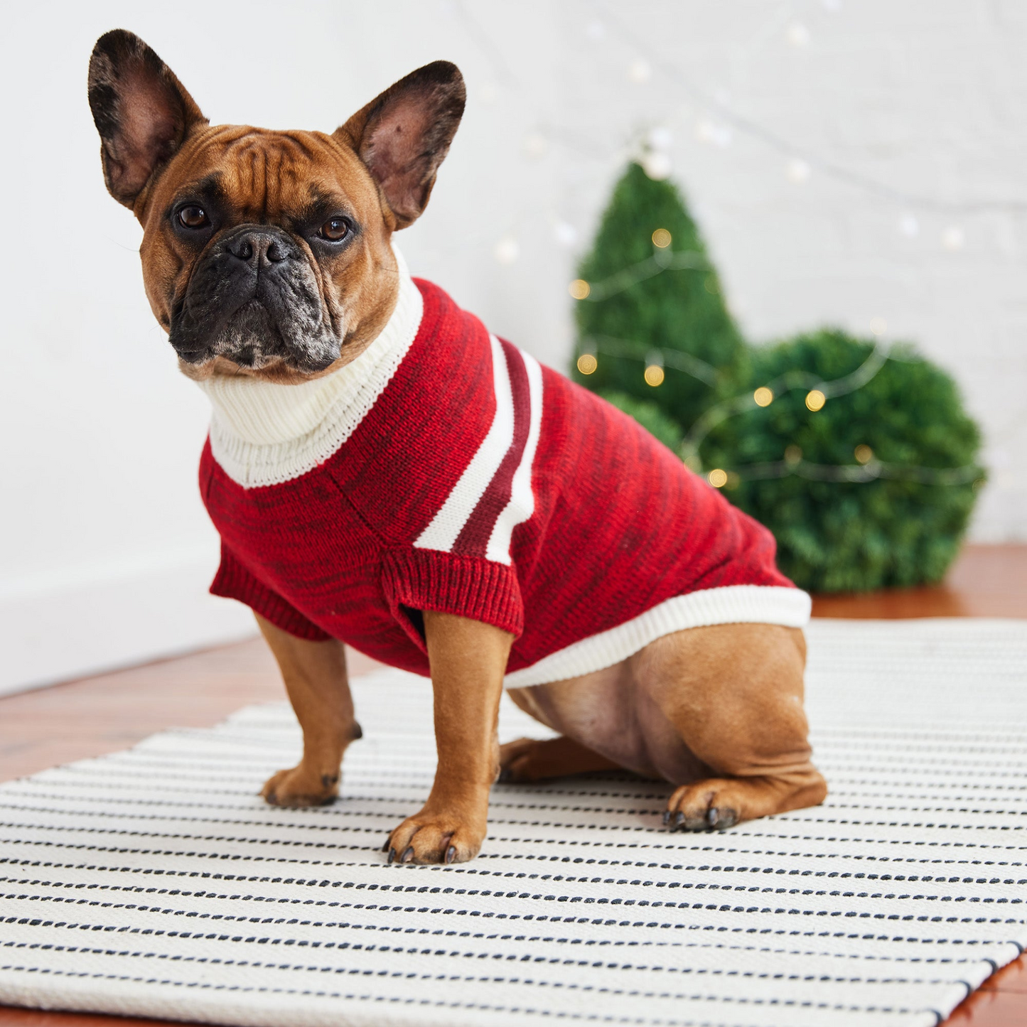 Trekking Dog Sweater - Red