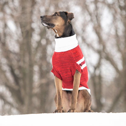 Trekking Dog Sweater - Red