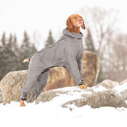 Dog Splash Suit - Charcoal