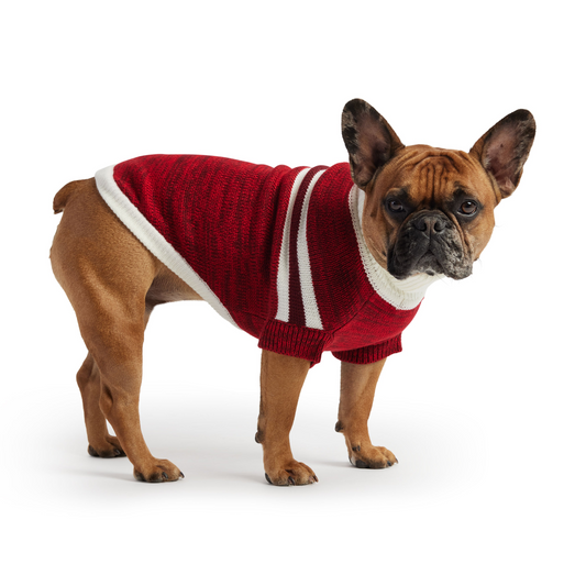 Trekking Dog Sweater - Red