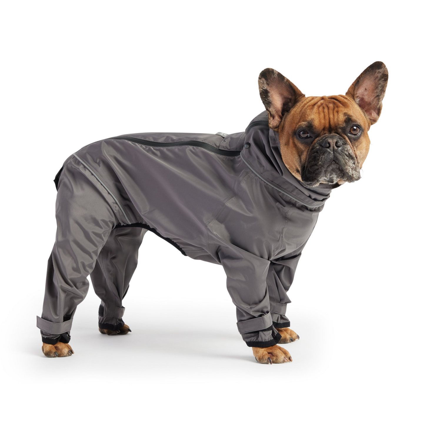 Dog Splash Suit - Charcoal