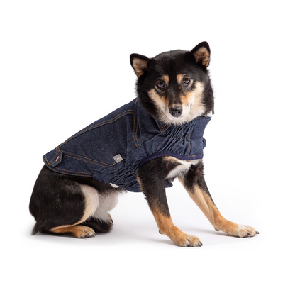 Dog Denim Jacket - Denim Blue