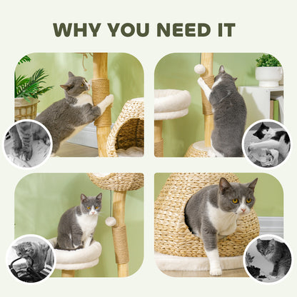41" Indoor Cat Tree with Wooden Posts, Cat Condo & Toy Balls – Cream White